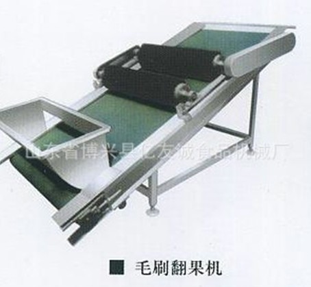 毛刷翻果機(jī)
