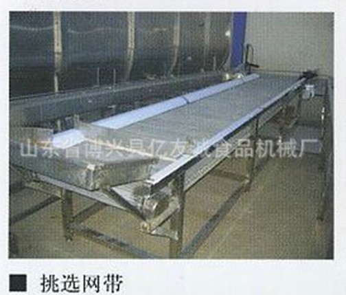 不銹鋼挑選網帶