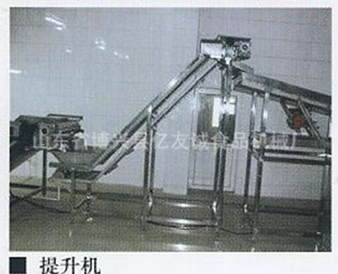 不銹鋼網帶提升機